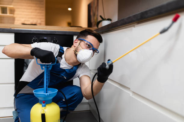 Reliable St Joseph, IL Pest Control Solutions