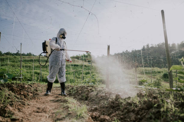 Best Ant Control Services  in St Joseph, IL