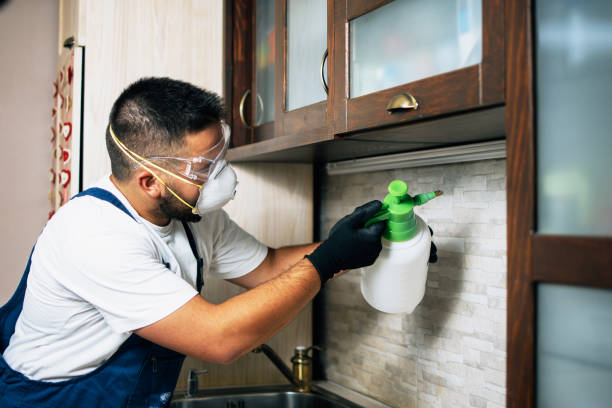 Best Best Pest Control Companies  in St Joseph, IL