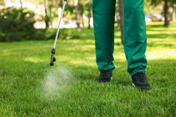Best Ant Control Services  in St Joseph, IL