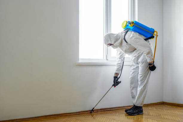 Best Termite Control Services  in St Joseph, IL