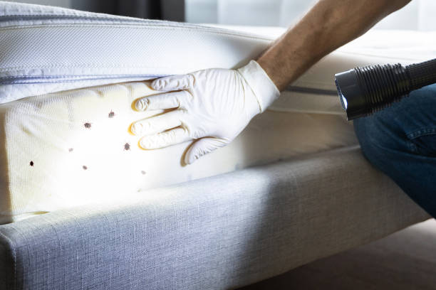 Best Wildlife Control Services  in St Joseph, IL