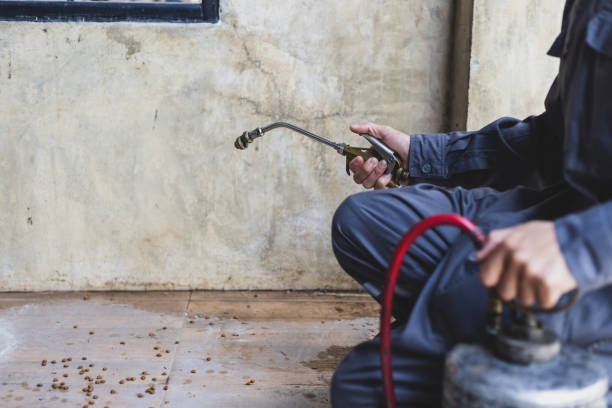 Best Cockroach Control Services  in St Joseph, IL