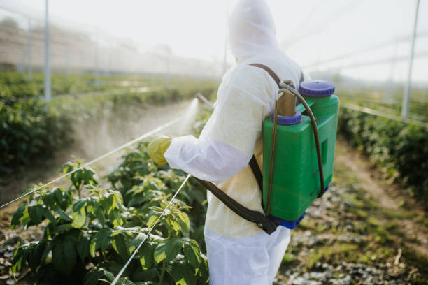 Best Pest Inspection Near Me  in St Joseph, IL